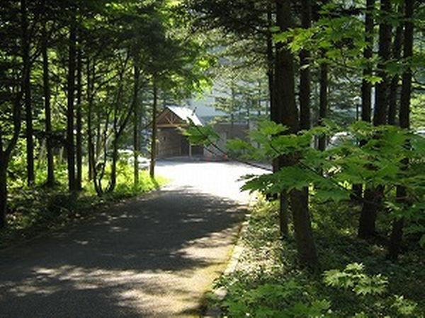 ホテル 風木立の川辺　紫明館 みなかみ町 エクステリア 写真