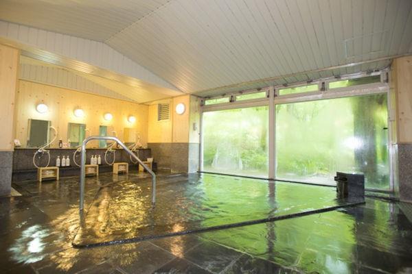ホテル 風木立の川辺　紫明館 みなかみ町 エクステリア 写真